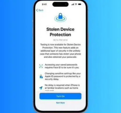 梓潼苹果授权维修店分享被盗设备保护功能开启方法