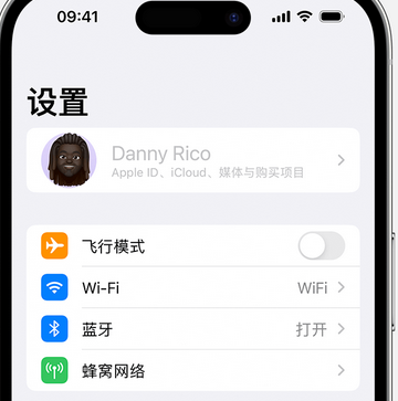 梓潼appleID维修服务iPhone设置中Apple ID显示为灰色无法使用 