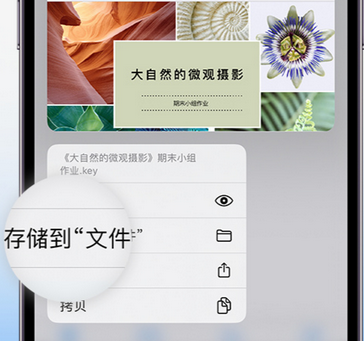 梓潼apple维修中心分享iPhone文件应用中存储和找到下载文件