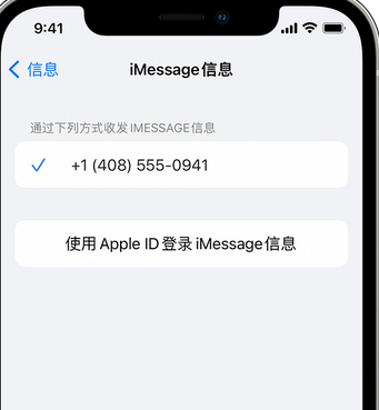 梓潼apple维修iPhone上无法正常发送iMessage信息 