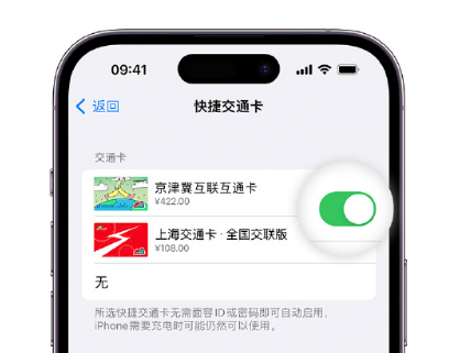 梓潼apple维修点分享iPhone上更换Apple Pay快捷交通卡手绘卡面 