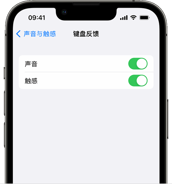 梓潼苹果14维修店分享如何在 iPhone 14 机型中使用触感键盘 