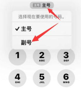 梓潼苹果14维修店分享iPhone 14 Pro Max使用副卡打电话的方法 