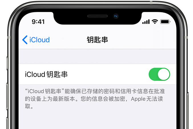 梓潼苹果手机维修分享在 iPhone 上开启 iCloud 钥匙串之后会储存哪些信息 