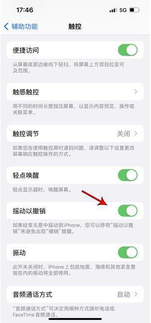 梓潼苹果手机维修分享iPhone手机如何设置摇一摇删除文字 